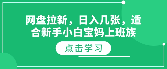 网盘拉新，日入几张，适合新手小白宝妈上班族