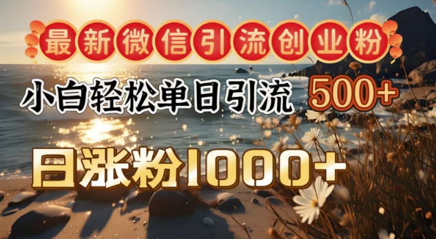 最新微信引流创业粉，小白单日轻松引流500+，日涨粉1000+